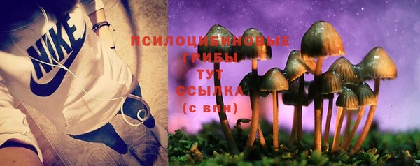 эйфоретик Лихославль